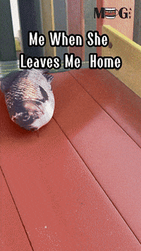 mugart shopping online shopping lifestyle gifts GIF