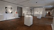 virginia GIF