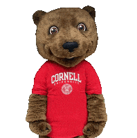 Happy Big Red Sticker by Touchdown's Team