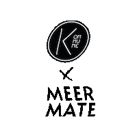 Party Festival Sticker by MeerMate