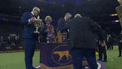 westminster dog show wkc 2018 GIF by Westminster Kennel Club