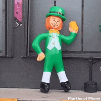 excuse me no GIF by Martha of Miami