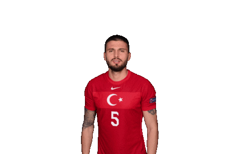 Euro 2020 Soccer Sticker by UEFA