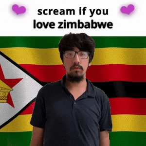 (silent) scream if you love zimbabwe