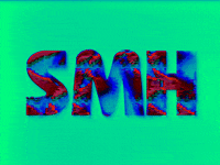 Art Smh GIF