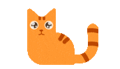 Cat Sticker Sticker by Positive Programming