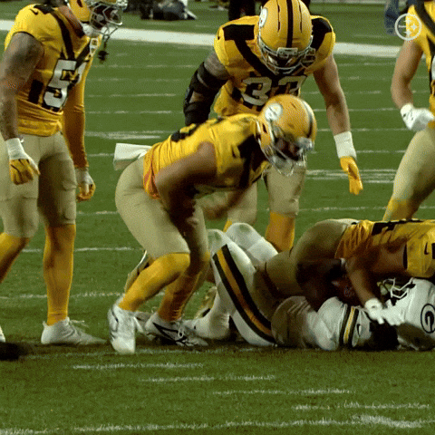 Football Celebration GIF by Pittsburgh Steelers