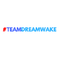 Surf Wake Surfing Sticker by DREAMWAKE Academy