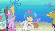 season 9 episode 25 GIF by SpongeBob SquarePants