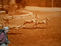 andy richter conan obrien GIF by Team Coco