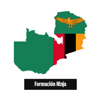 Flag Bandera Sticker by Formación Ninja