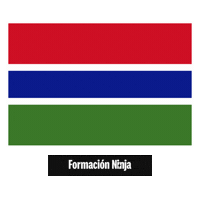 The Gambia Flag Sticker by Formación Ninja