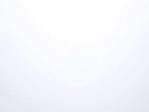 GIF by Pollective
