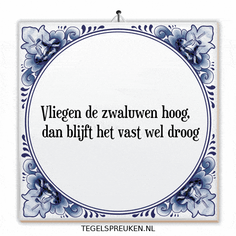 Hoop Nl GIF by Tegelspreuken.nl