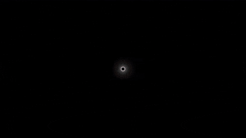 umutbilge giphyupload giphystrobetesting seriously satire GIF