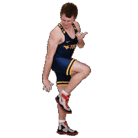 Wrestling Sticker by WVU Tech Golden Bears
