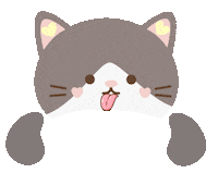 Cat Gato Fofo Sticker