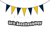 Uclaanes ucla anesthesiology Sticker