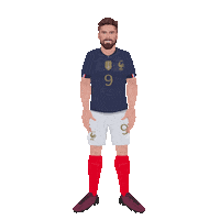 France Football Sticker by SportsManias