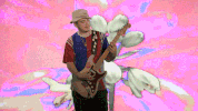 cuco sunnyside GIF