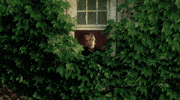 Summer Day Plants GIF by Hardly Art