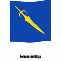 Castilla Y Leon Flag GIF by Formación Ninja