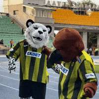 Алатау GIF by FC Kairat