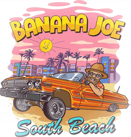 bananajoetours miami everglades banana joe tours GIF