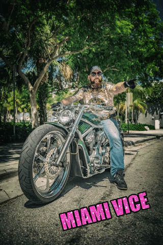 bananajoetours miami everglades banana joe tours GIF
