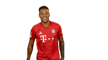 Happy Fc Bayern Sticker by Bundesliga