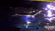 model uk GIF by Lifetime Telly