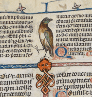 gifitup bird lion gifitup gif it up GIF