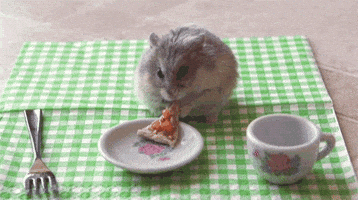 Pizza Hamster GIF