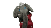 Sleepy Alabama Football Sticker by The University of Alabama