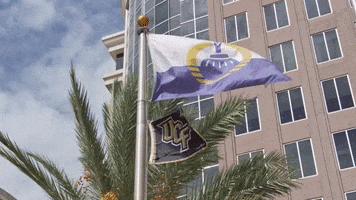 Central Florida College GIF by City of Orlando