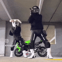Dance Dancing GIF