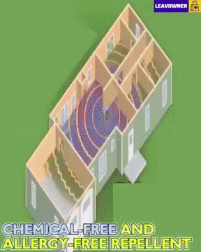 Fannab giphygifmaker GIF