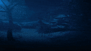 GIF by NETFLIX