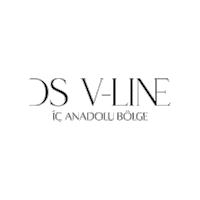 dsvlineicanadolu dsvline dsvline iç anadolu dsvlineiçanadolu içanadoludsvline Sticker