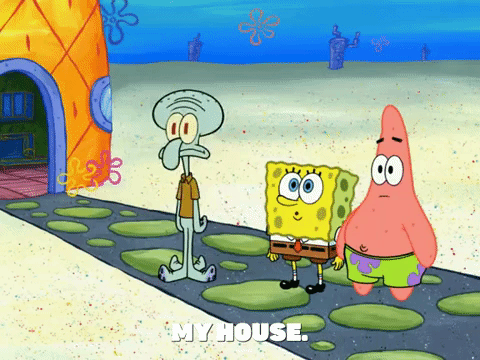 season 6 squid's visit GIF by SpongeBob SquarePants