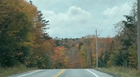 Autumn Colors Line New York Road as State Nears Peak Foliage