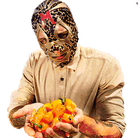 Hot Sauce Ufo Sticker by DECABRÓN