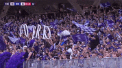 foreverfreo freo GIF by Fremantle Dockers