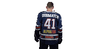 Ice Hockey Sticker by Fehervar AV19