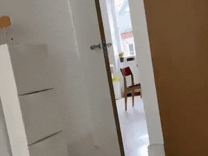 malfecha giphyupload GIF