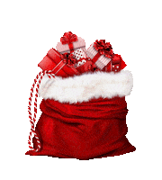 Christmas Santa Sticker by Lebensretter_Deutschland