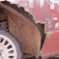 Motorsport Driving GIF by FIA World Rally Championship
