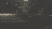 uga commitment GIF by University of Georgia
