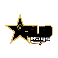 Cheer Rays Sticker by The Stingray Allstars