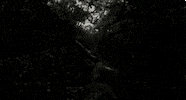 jon favreau disney GIF by Disney's The Jungle Book